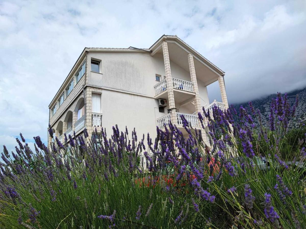 Apartments Dodik オレビック エクステリア 写真