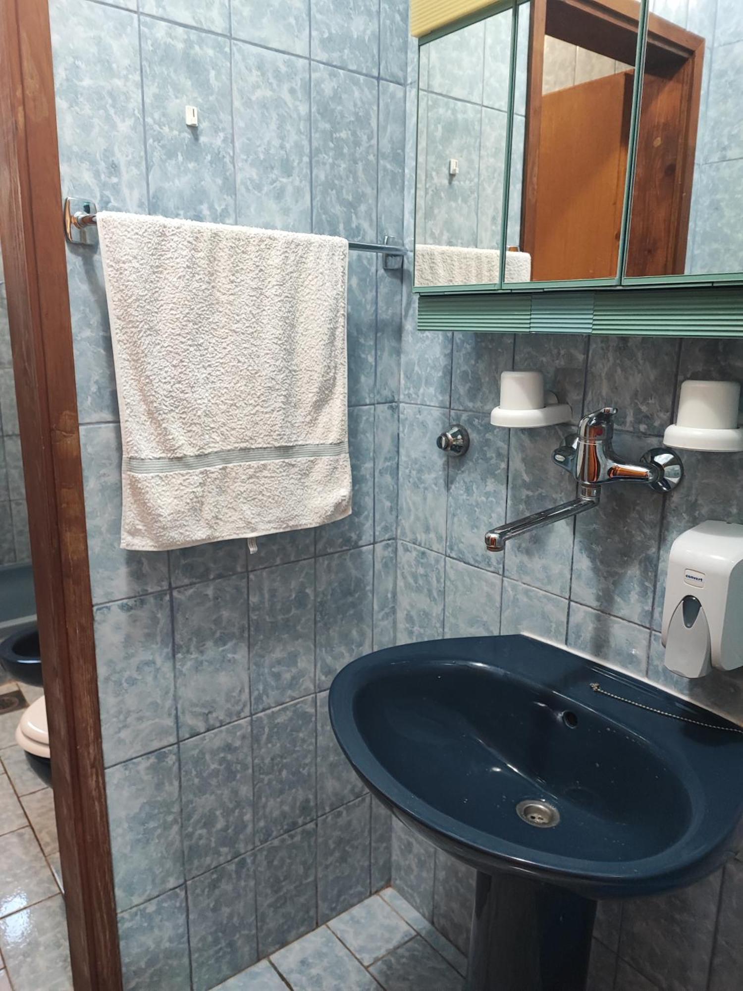 Apartments Dodik オレビック エクステリア 写真